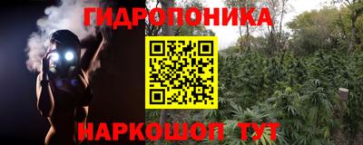 индика Будённовск