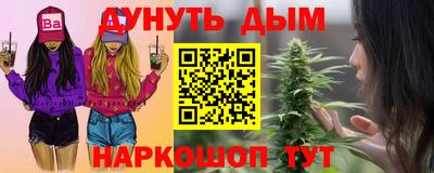индика Будённовск